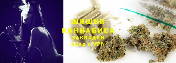 ПСИЛОЦИБИНОВЫЕ ГРИБЫ Краснослободск