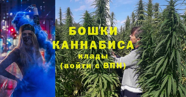 стафф Краснотурьинск