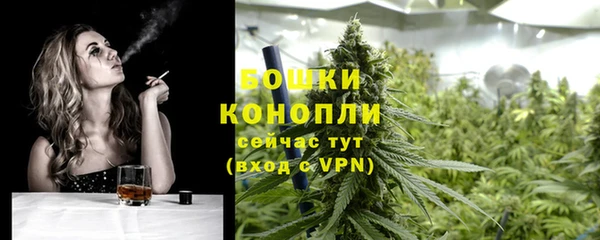 ПСИЛОЦИБИНОВЫЕ ГРИБЫ Краснослободск