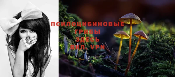 стафф Краснотурьинск