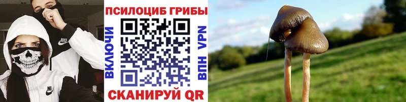 Галлюциногенные грибы MAGIC MUSHROOMS  Купить  Каменск-Шахтинский 